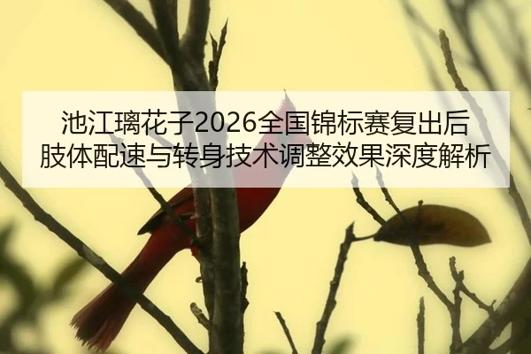 池江璃花子2026全国锦标赛复出后肢体配速与转身技术调整效果深度解析